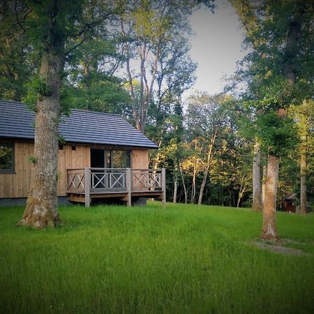 Chalet Au Bois D'Ourthe Villa Somme-Leuze Kültér fotó