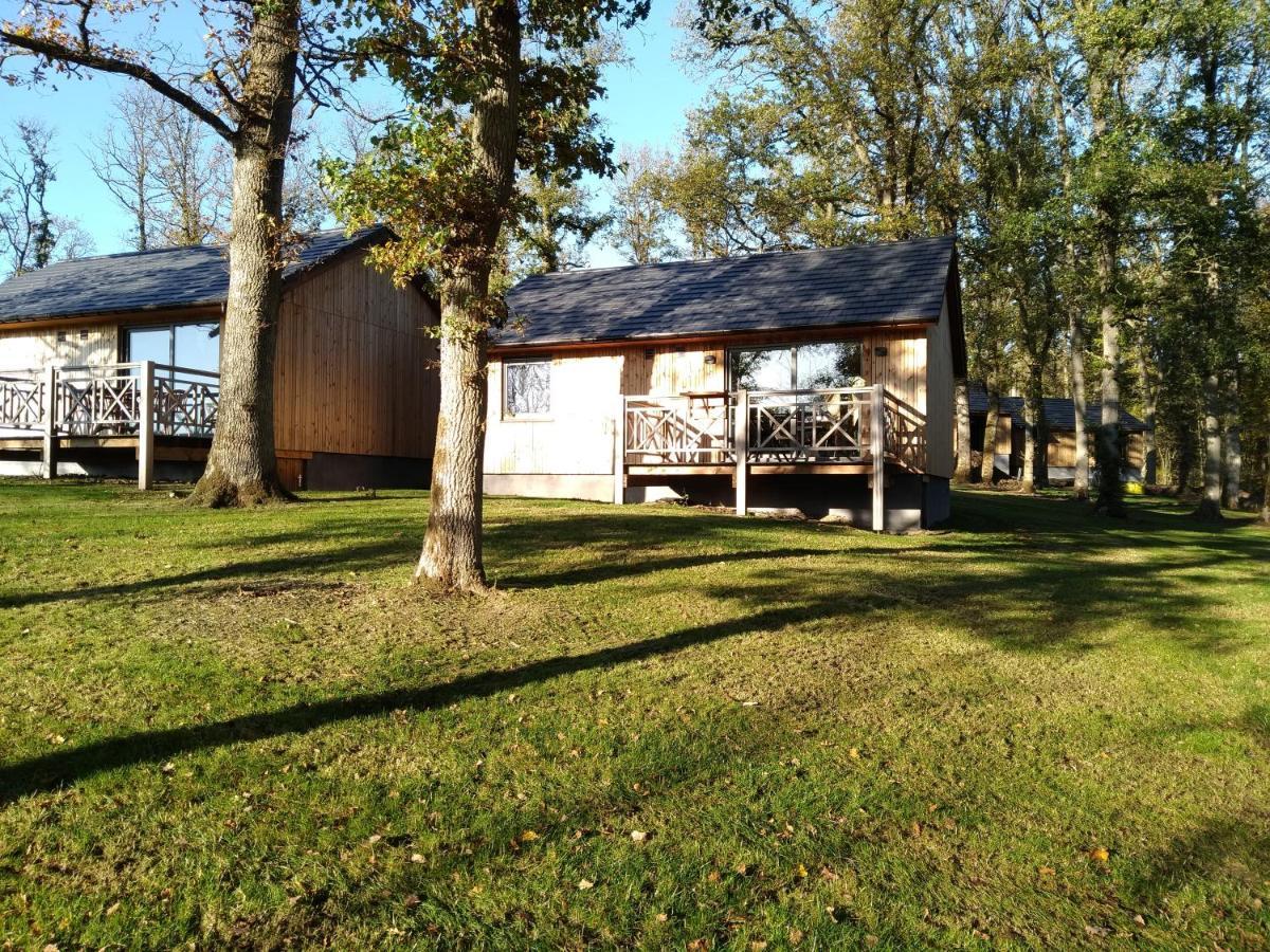 Chalet Au Bois D'Ourthe Villa Somme-Leuze Kültér fotó